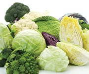 Sulfrophane supports brain health