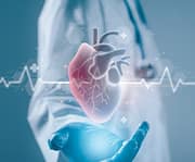 Taurine aid the heart