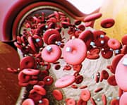 Maqui berries help with blood sugar control