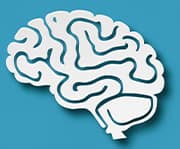 Vitamin B12 helps the brain