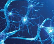 People with low lithium levels may have mild cognitive impairment