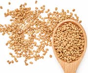 Fenugreek seeds