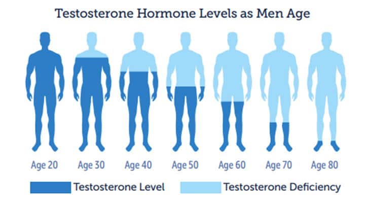 Testosterone Hormone Levels as Men Age