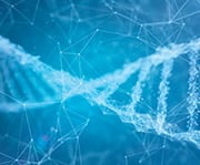 Future clinical trials could demonstrate the potential health benefits of luteolin