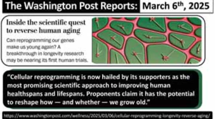 The scientific quest to reverse human aging