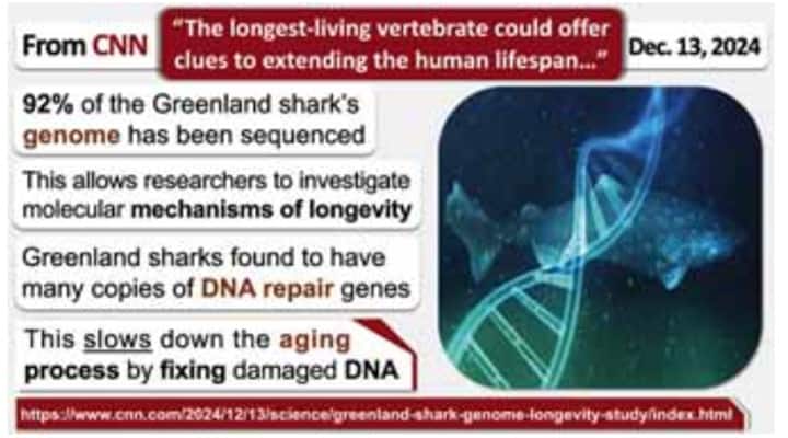 Greenland sharks have DNA repair genes