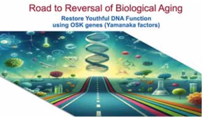 Scientist look to greenland sharks to design DNA repair drugs