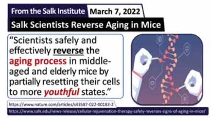 Salk scientist reverse aging in mice