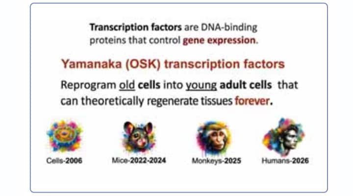 Transcription factors are DNA-binding proteins that control gene expression
