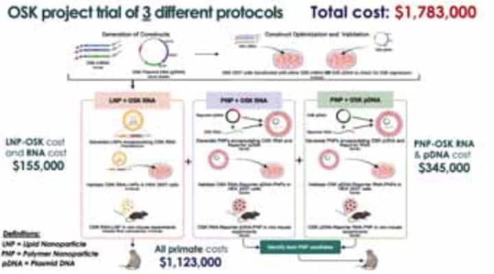 OSK project trial of 3 different protocols