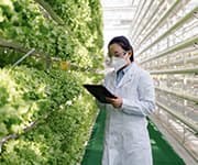 Taking a blend of these extracts twice daily is 
recommended for maximum effectiveness.