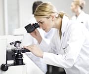 Pomegranate provides raw materials from which some people can make urolithin A for themselves.