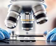 It is important to note that probiotics come in many different types of strains that have specific targets.