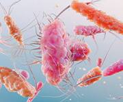 With age, our body produces fewer of the enzymes necessary to 
efficiently break down food.