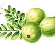 Atherosclerosis is the underlying cause of most cardiovascular disease cases.