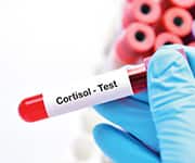 Stress can increase risk for cardiovascular disease, obesity, metabolic disease, and impaired immune function.