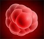 Personalized Therapy Using Your Own Stem Cells