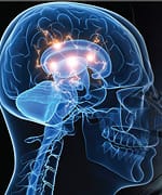 Novel Magnesium Compound Reverses Neurodegeneration