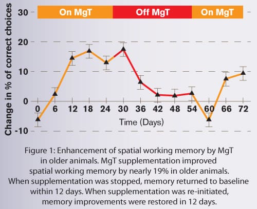 Enhanced Spatial Long-Term Memory