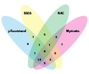 Overlap and Unique Pathway Activation