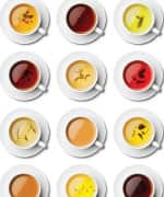 Cups of different tea's