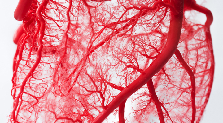 Life Extension Magazine