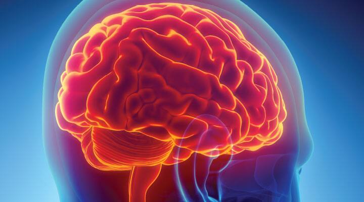 The Neurogenesis Diet & Lifestyle Interview with author