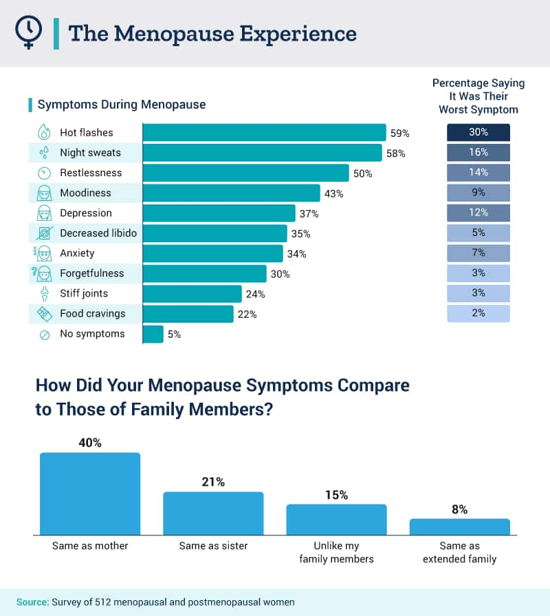 The Menopause Experience