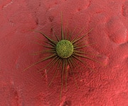 The Cause of All Cancers