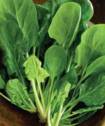 Suppressing Arachidonic Acid Byproducts